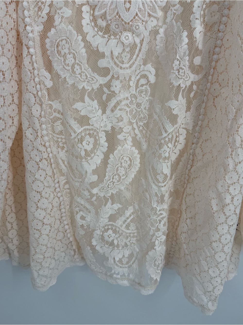 Torrid NWT Floral Lace V-Neck Long Sleeve Blouse Size 3X Semi-sheer Ivory Top - Picture 4 of 11